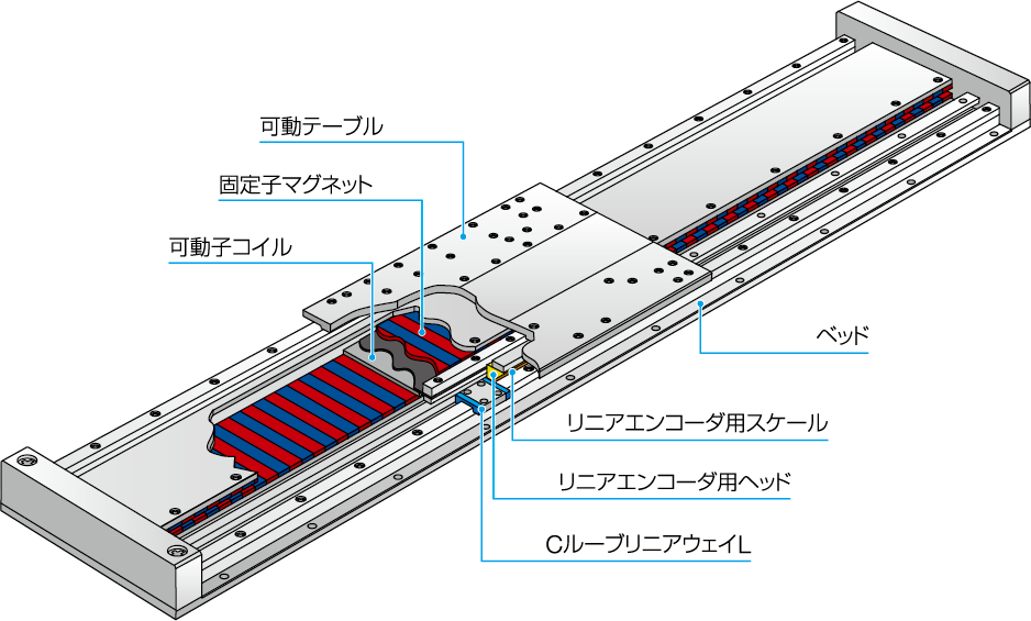 ダミーイメージ